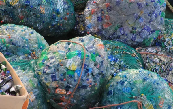 PET — recykling butelek krok po kroku: od zbiórki do nowego opakowania