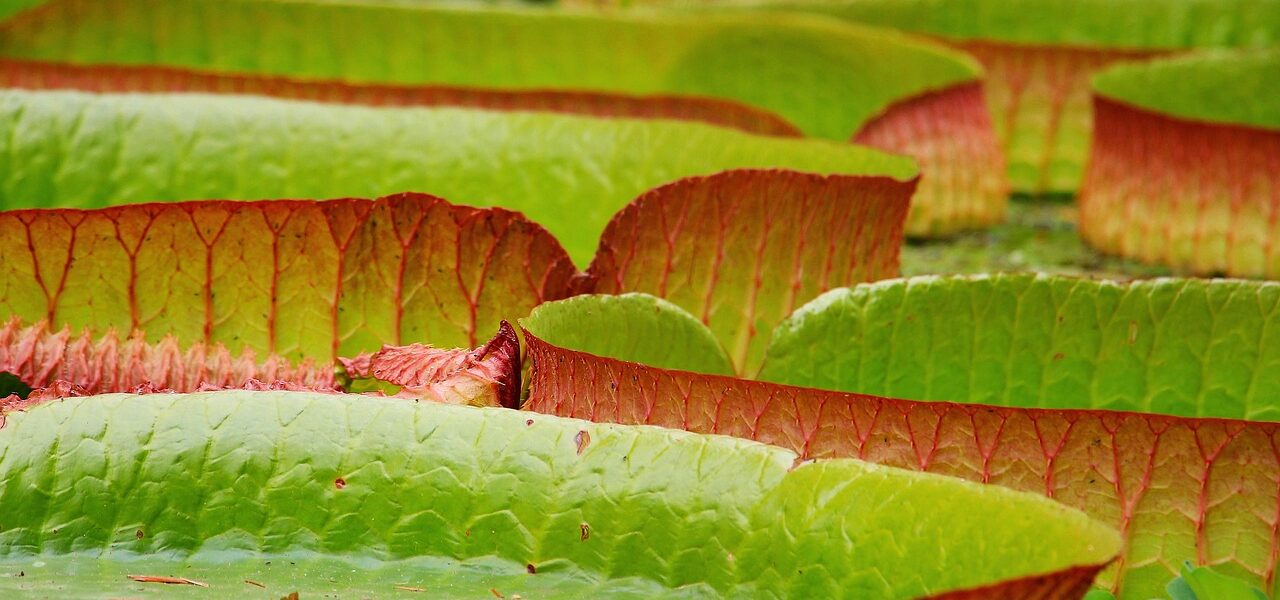 Gospodarka obiegu zamkniętego (GOZ) — definicja i praktyka